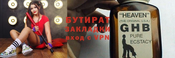 ПСИЛОЦИБИНОВЫЕ ГРИБЫ Михайлов