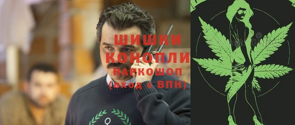 ПСИЛОЦИБИНОВЫЕ ГРИБЫ Михайлов