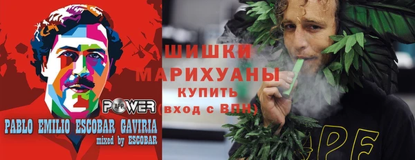 ПСИЛОЦИБИНОВЫЕ ГРИБЫ Михайлов