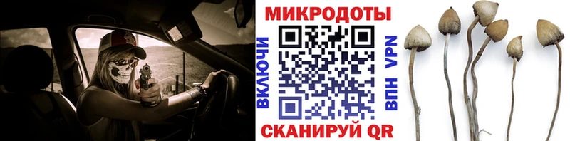 Галлюциногенные грибы мухоморы MEGA как войти Клин