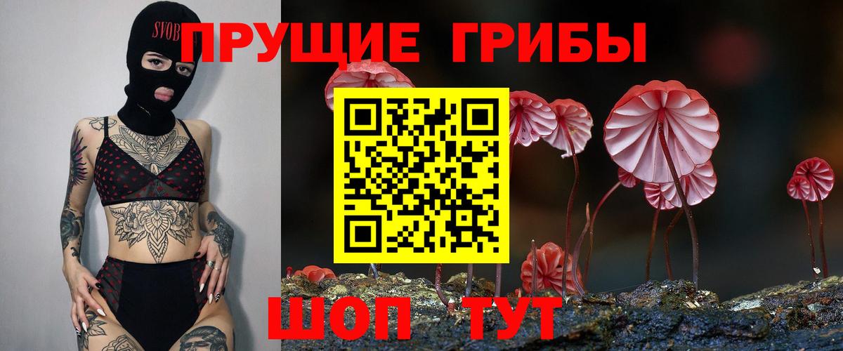 Псилоцибиновые грибы Cubensis  Клин 