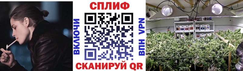 Бошки Шишки MAZAR  даркнет сайт  Клин 